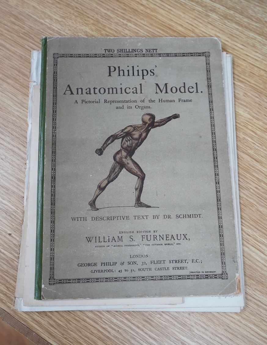 An early 20th century Philips’ Anatomical Model book by William S. Furneaux, together with various pages from a scientific manual, etc. Condition - poor to fair.